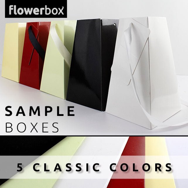 8" FlowerBox (Sample Pack - 2 of Each Color) - WildFlower Media